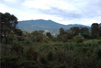 Lotes y Terrenos en  Bajo Boquete