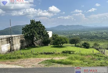 Lote de Terreno en  Pueblo Santo Domingo Ocotitlán, Tepoztlán