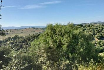 Chalet en  San Roque, Cádiz Provincia