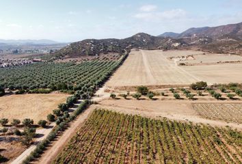 Lote de Terreno en  La Misión, Ensenada