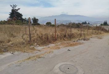 Terreno Comercial en  Calderón, Quito