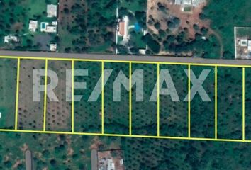 Lote de Terreno en  Montemorelos Centro, Montemorelos