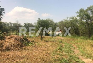 Lote de Terreno en  Montemorelos Centro, Montemorelos