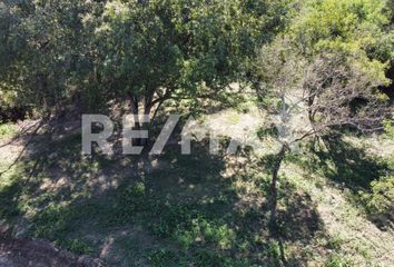 Lote de Terreno en  Ciudad Ciudad Allende, Allende, Nuevo León