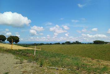 Lote de Terreno en  Cerritos, Pereira