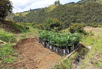 Lote de Terreno en  La Unión, Valle Del Cauca