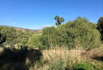 Terreno en  Sotogrande, Cádiz Provincia