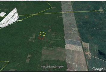 Lote de Terreno en  Calle 21, Sinanché, Yucatán, 97420, Mex