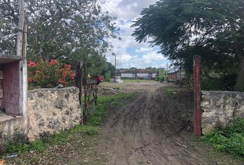 Rancho en  Carretera Panabá - Yalsihón, Yalsihón, Panabá, Yucatán, 97615, Mex