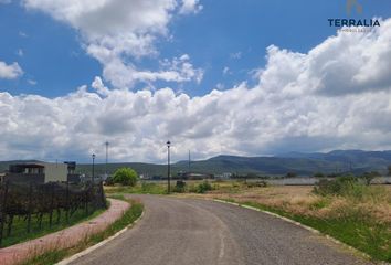 Lote de Terreno en  Zirándaro, San Miguel De Allende