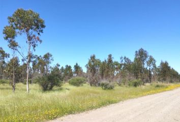 Parcela en  San Nicolás, Ñuble (región)