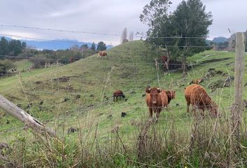 Parcela en  Lago Ranco, De Ranco