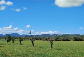 Terreno en  Campos, Balears (illes)