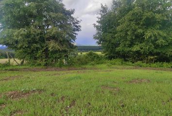 Parcela en  San Carlos, Ñuble (región)