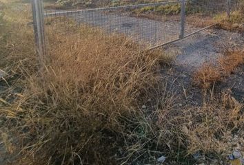 Terreno en  Lucena, Córdoba Provincia