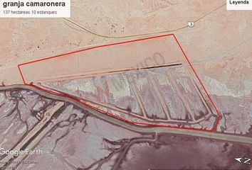 Lote de Terreno en  México, San Luis Río Colorado