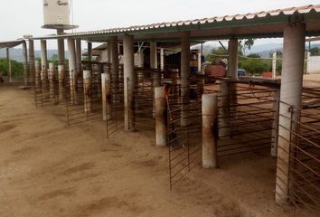 Rancho en  Río Grande O Piedra Parada, Oaxaca