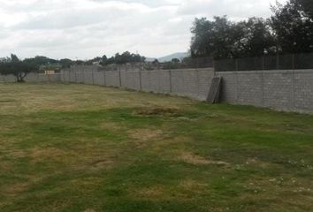 Lote de Terreno en  Calle Canal Del N, Ampliación Ozumbilla, Tecámac, México, 55760, Mex