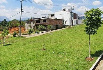 Lote de Terreno en  Cerrada Guadalajara, La Palpa, Huauchinango, Puebla, 73178, Mex