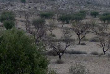 Terreno en  Molina De Segura, Murcia Provincia