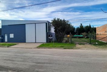 Galpónes/Bodegas en  Cafferata, Santa Fe