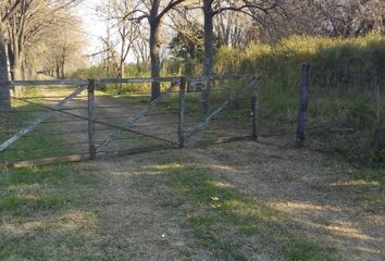 Terrenos en  Lima, Partido De Zárate