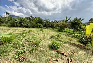 Lote de Terreno en  La Ceja, Antioquia