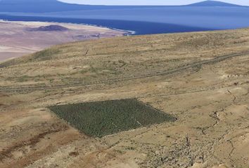 Terreno en  Teguise, Palmas (las)