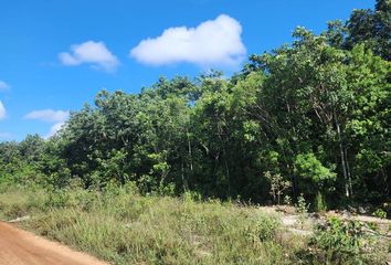 Lote de Terreno en  Colonia Benito Juárez, Cancún, Quintana Roo