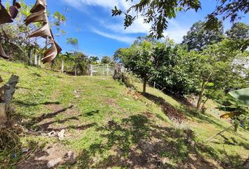 Lote de Terreno en  Piedecuesta, Santander