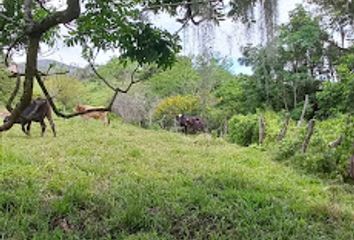 Lote de Terreno en  Suaza, Huila