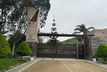 Terreno en  Asia, Cañete