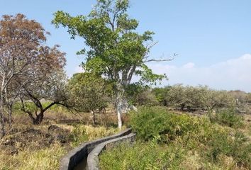 Lote de Terreno en  Xochitepec Centro, Xochitepec, Morelos