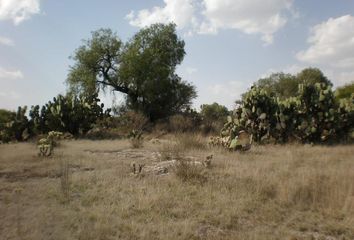 Lote de Terreno en  Calle Guadalupe Victoria, San Agustín Actipac, Teotihuacán, México, 55843, Mex