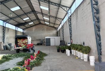 Bodega-Galpon en  Solca, San Isidro Del Inca, Quito