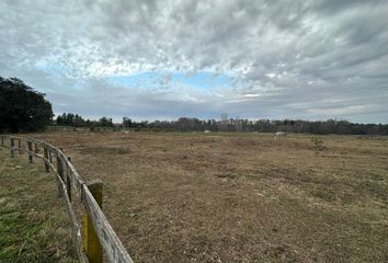 Terrenos en  El Argentino Farm Club, Partido De Luján