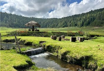 Lote de Terreno en  Amanalco, Estado De México