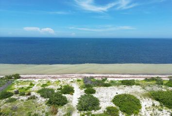 Lote de Terreno en  Carretera Telchac Puerto - Dzilam De Bravo, Santa Clara, Dzidzantún, Yucatán, 97504, Mex