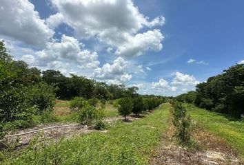 Lote de Terreno en  Calle 20, San Pedro Chimay, Mérida, Yucatán, 97315, Mex