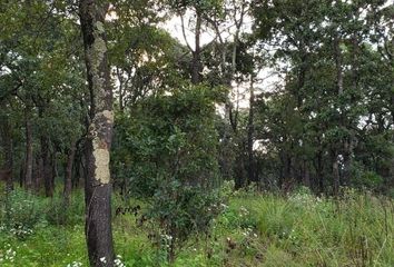 Lote de Terreno en  Carretera Nicolás Romero-naucalpan, San Miguel Tecpan, Jilotzingo, México, Mex