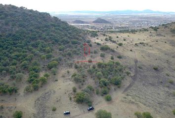 Lote de Terreno en  Reforma, Cuauhtémoc, Chihuahua