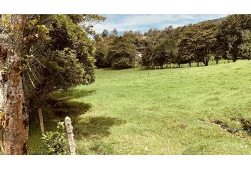 Lote de Terreno en  El Retiro, Antioquia