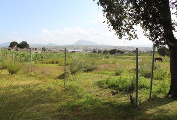 Lote de Terreno en  Nopalucan, Puebla