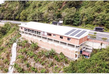 Bodega en  Palermo, Manizales