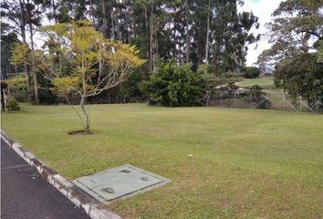 Lote de Terreno en  El Carmen De Viboral, Antioquia