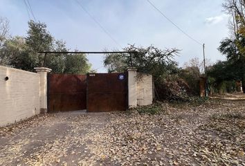 Terrenos en  El Bermejo, Mendoza