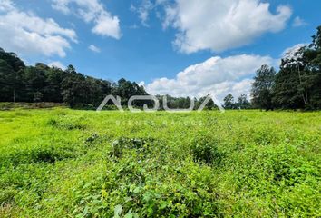 Lote de Terreno en  Camino Ál Kinder, San Gaspar, Valle De Bravo, México, 51245, Mex