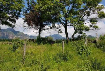 Lote de Terreno en  El Ahuehuete, Tlayacapan