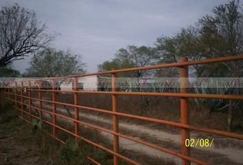 Lote de Terreno en  Calle Juárez, Centro De Los Ramones, Los Ramones, Nuevo León, 66800, Mex