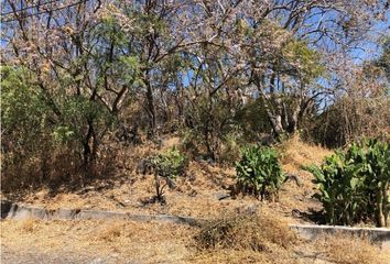 Lote de Terreno en  Real Del Puente, Xochitepec, Morelos